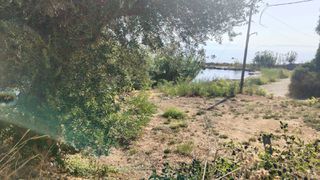 Οικόπεδο 312 τ.μ. για πώληση, Μεσσηνία, Κορώνη-thumb-7