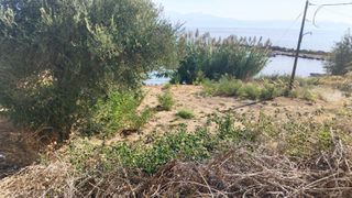 Οικόπεδο 312 τ.μ. για πώληση, Μεσσηνία, Κορώνη-thumb-6