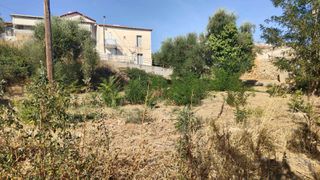 Οικόπεδο 312 τ.μ. για πώληση, Μεσσηνία, Κορώνη-thumb-11