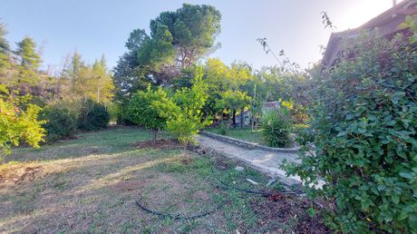 Αγροτεμάχια 5.784τ.μ. για πώληση-Αρτεμίσιο