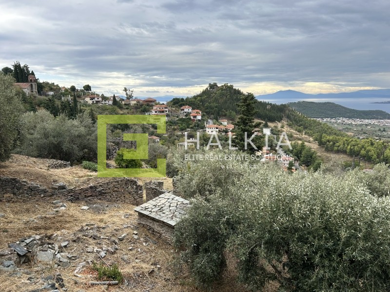 Οικόπεδο 2.026 τ.μ. προς πώληση, Άνω Βόλος