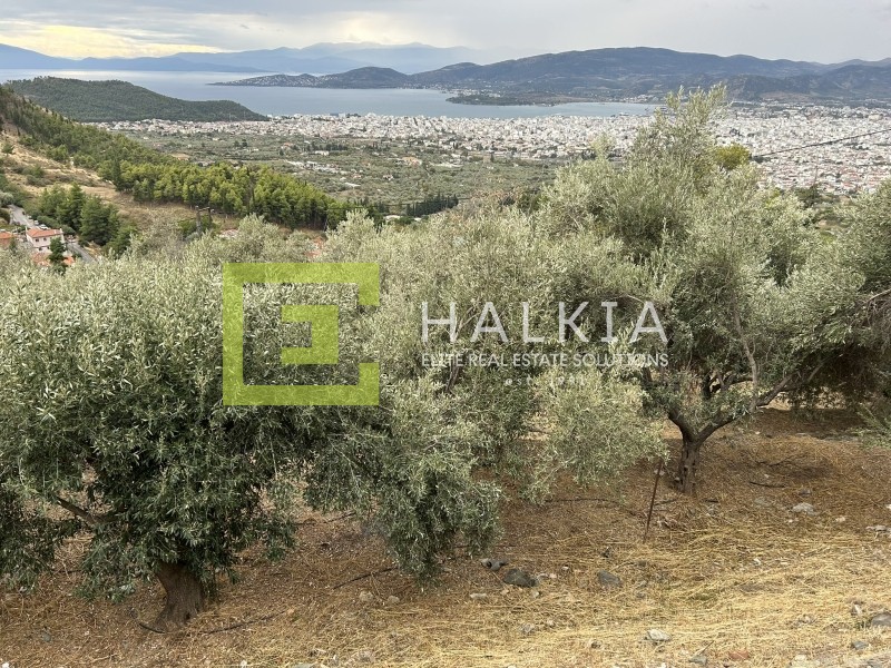 Οικόπεδο 2.026 τ.μ. προς πώληση, Άνω Βόλος