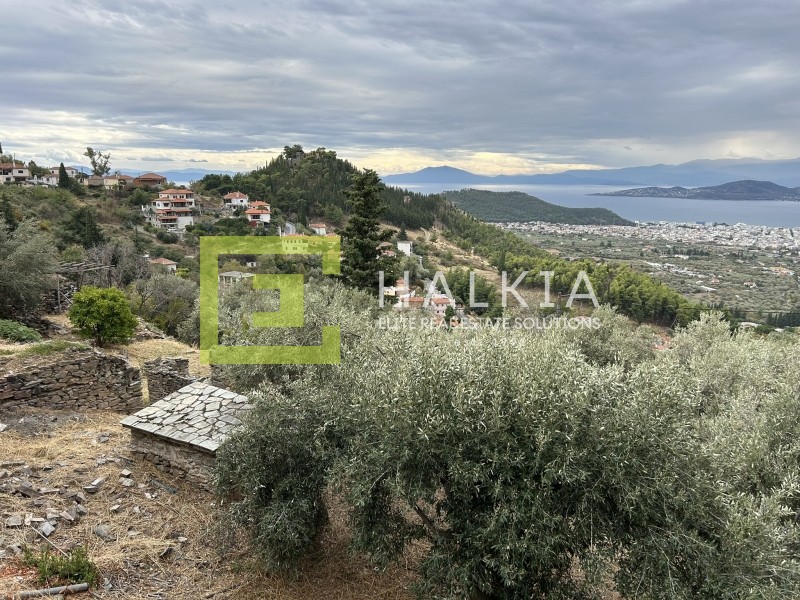 Οικόπεδο 2.026 τ.μ. προς πώληση, Άνω Βόλος