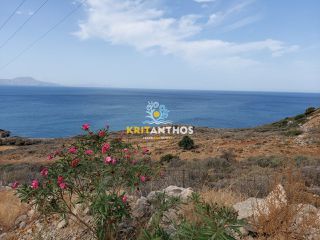 Οικόπεδο 52.000 τ.μ. προς πώληση, Γεράνι Νικηφόρου Φωκά-thumb-2