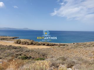 Οικόπεδο 52.000 τ.μ. προς πώληση, Γεράνι Νικηφόρου Φωκά-thumb-4