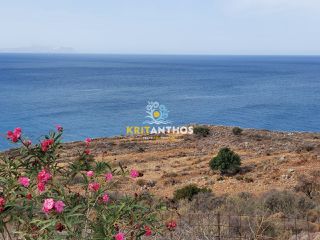 Οικόπεδο 52.000 τ.μ. προς πώληση, Γεράνι Νικηφόρου Φωκά-thumb-9