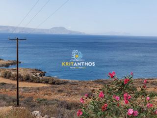 Οικόπεδο 52.000 τ.μ. προς πώληση, Γεράνι Νικηφόρου Φωκά-thumb-14
