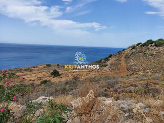 Οικόπεδο 52.000 τ.μ. προς πώληση, Γεράνι Νικηφόρου Φωκά-thumb-19