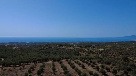 Land plot 26.000sqm for sale-Kiparissia