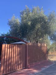 Μονοκατοικία 85 τ.μ. προς πώληση, Ανθούσα Μελιγαλά-thumb-1