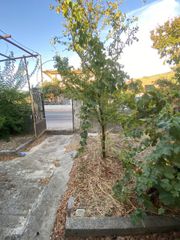 Μονοκατοικία 108 τ.μ. προς πώληση, Βασιλικό Δωρίου-thumb-18