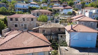 Μονοκατοικία 300 τ.μ. για πώληση, Μεσσηνία, Αετού-thumb-15
