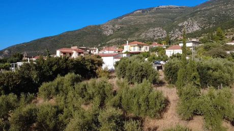 Land plot 3.893sqm for sale-Kiparissia