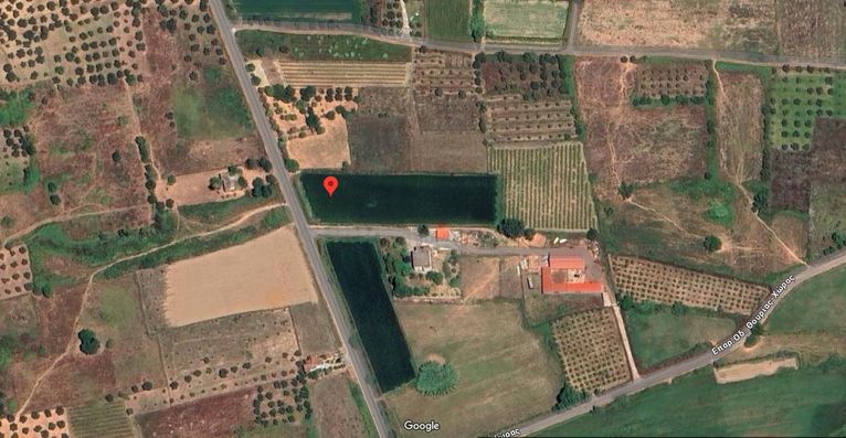 Οικόπεδο 5.391 τ.μ. για πώληση, Μεσσηνία, Ανδρούσα