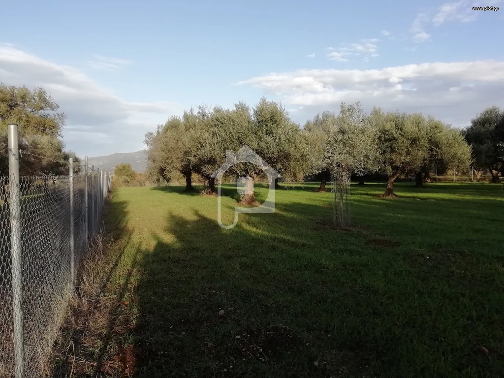 Αγροτεμάχια 6.163 τ.μ. προς πώληση, Κάτω Μαζαράκι