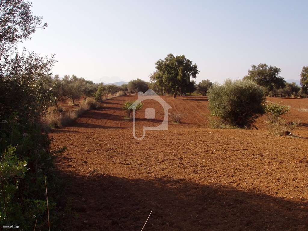 Αγροτεμάχια 6.163 τ.μ. προς πώληση, Κάτω Μαζαράκι