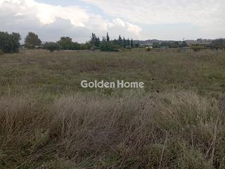 Αγροτεμάχια 4.167 τ.μ. για ενοικίαση