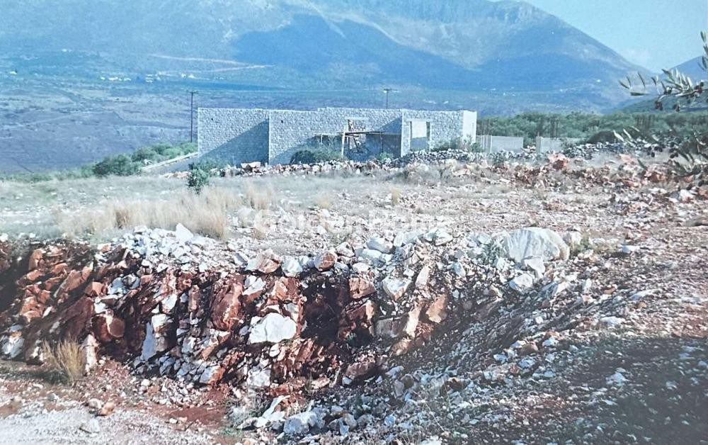 Αγροτεμάχια 7.538 τ.μ. προς πώληση, Μέτωπα