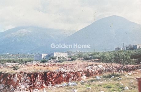Αγροτεμάχια 7.538 τ.μ. προς πώληση