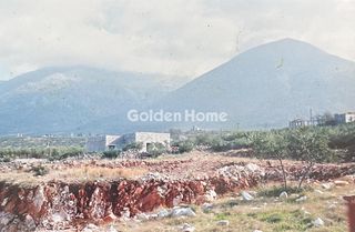 Αγροτεμάχια 7.538 τ.μ. για πώληση