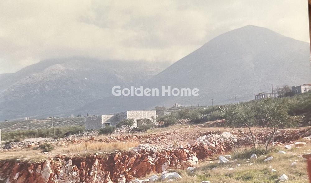 Αγροτεμάχια 7.538 τ.μ. προς πώληση, Μέτωπα