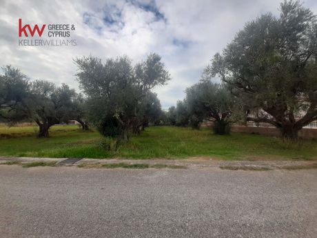 Οικόπεδο 1.157τ.μ. για πώληση-Ρίο