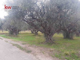 Οικόπεδο 1.157 τ.μ. για πώληση