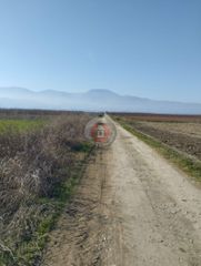Αγροτεμάχια 15.000 τ.μ. για πώληση