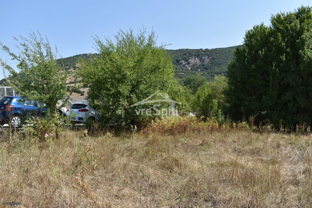 Αγροτεμάχια 5.100 τ.μ. προς πώληση, Ιωάννινα