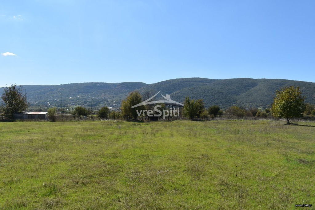 Αγροτεμάχια 8.500 τ.μ. προς πώληση, Καρδαμίτσια