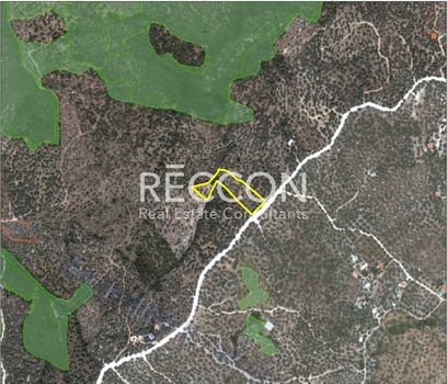 Αγροτεμάχια 4.107τ.μ. για πώληση-Στυλίδα » Αγία μαρίνα