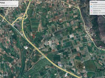 Αγροτεμάχια 9.000 τ.μ. για πώληση