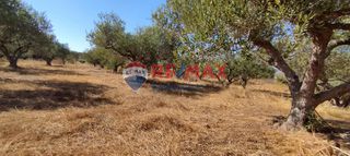 Οικόπεδο 4.902 τ.μ. για ενοικίαση, Ν. Χανίων, Ακρωτήρι-thumb-6