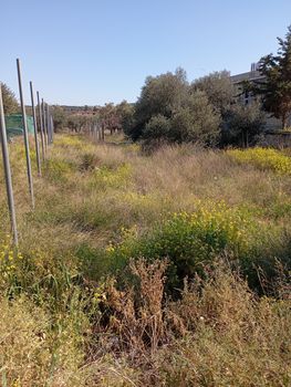 Land plot 443,4sqm for sale-Paiania