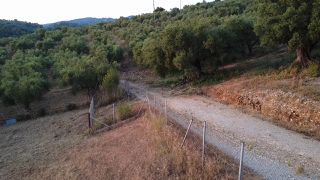 Οικόπεδο 4.046 τ.μ. για πώληση, Μεσσηνία, Αυλώνα-thumb-8