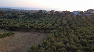 Οικόπεδο 4.046 τ.μ. για πώληση, Μεσσηνία, Αυλώνα-thumb-6