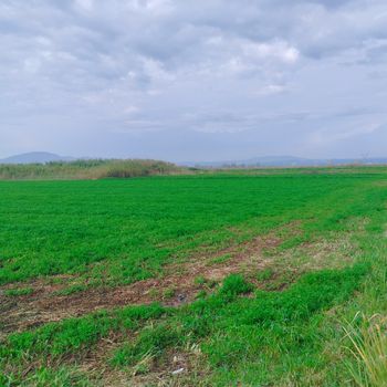 Οικόπεδο 17.845τ.μ. για πώληση-Καλαμάτα