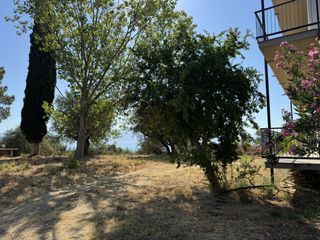 Διαμέρισμα 35 τ.μ. για ενοικίαση, Μεσσηνία, Πεταλίδι-thumb-9