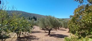 Μεζονέτα 120 τ.μ. προς πώληση, Οιχαλία-thumb-19