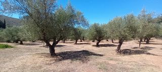 Μεζονέτα 120 τ.μ. προς πώληση, Οιχαλία-thumb-18