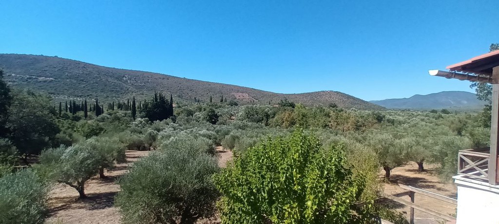 Μεζονέτα 120 τ.μ. προς πώληση, Οιχαλία