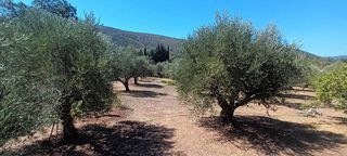 Μεζονέτα 120 τ.μ. προς πώληση, Οιχαλία-thumb-6
