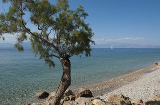 Βίλλα 400 τ.μ. για πώληση, Αχαΐα, Ακράτα-thumb-3