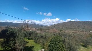 Μεζονέτα 120 τ.μ. για πώληση, Μεσσηνία, Οιχαλία-thumb-13