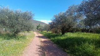 Μεζονέτα 120 τ.μ. για πώληση, Μεσσηνία, Οιχαλία-thumb-19