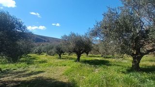 Μεζονέτα 120 τ.μ. για πώληση, Μεσσηνία, Οιχαλία-thumb-21