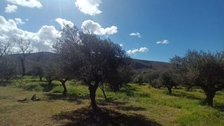 Μεζονέτα 120 τ.μ. για πώληση, Μεσσηνία, Οιχαλία-thumb-20