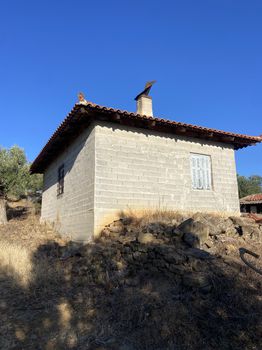 Αγροτεμάχια 27.000τ.μ. για πώληση-Μελιγαλά