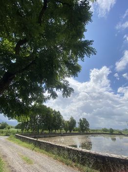 Οικόπεδο 1.547τ.μ. για πώληση-Μελιγαλά