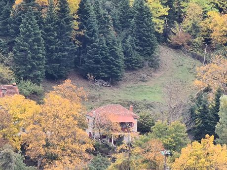 Μονοκατοικία 141,75τ.μ. για πώληση-Κάλλιας